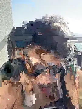 Shamang269 online show from November 9, 2025, 3:05 pm