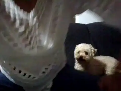 RAYA 1 online show from February 2, 2025, 12:51 am