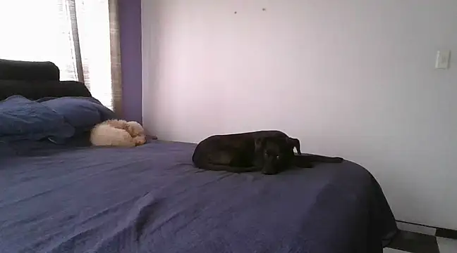 RAYA 1 online show from February 12, 2025, 4:33 pm