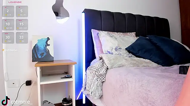 Snapshot of catimore chatting on February 28, 2025, 2:42 pm catimore online show from February 28, 2025, 2:42 pm