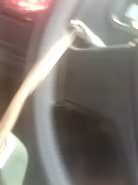 Driver-naru online show from February 22, 2026, 7:44 am