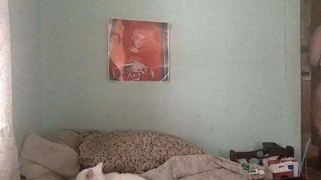 alexabunni online show from November 17, 2025, 4:00 pm