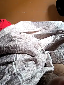 trimineiro  online show from December 17, 2025, 9:14 am