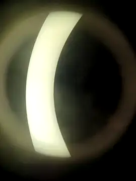 Snapshot of HotWifeNisha chatting on December 21, 2024, 8:54 pm HotWifeNisha online show from December 21, 2024, 8:54 pm