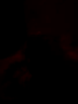 Tomtric online show from February 10, 2026, 8:24 am