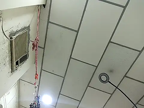 DanelyLopez online show from February 2, 2026, 2:43 am