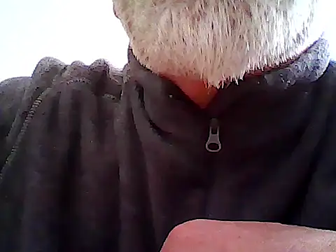 Snapshot of xcimeru chatting on March 12, 2025, 2:34 pm xcimeru online show from March 12, 2025, 2:34 pm
