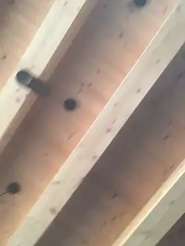 Snapshot of Fellix chatting on December 11, 2024, 11:30 am Fellix online show from December 11, 2024, 11:30 am