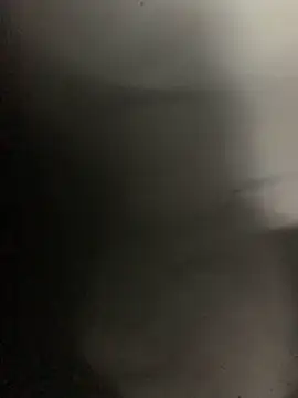 Snapshot of Fellix chatting on March 11, 2025, 11:33 am Fellix online show from March 11, 2025, 11:33 am