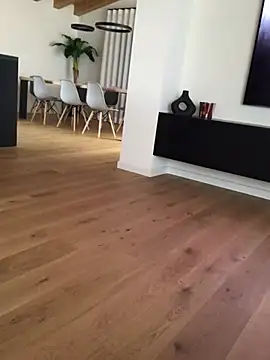 Snapshot of Fellix chatting on February 11, 2025, 10:14 am Fellix online show from February 11, 2025, 10:14 am