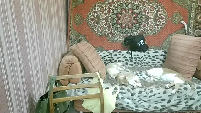 Kathlyn  Heath online show from February 18, 2026, 1:36 am