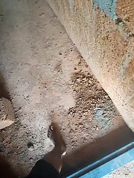 Mallupaiyanaachu online show from February 3, 2026, 5:05 am