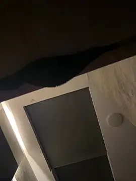 CeliWoods online show from September 20, 2025, 10:09 am