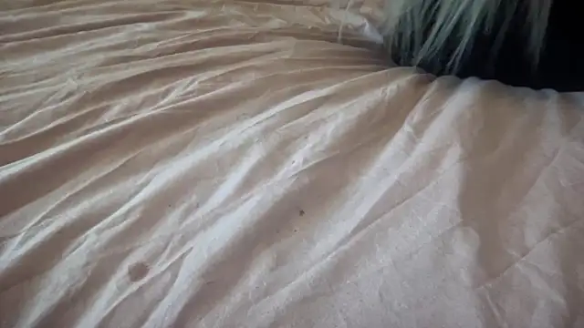 Snapshot of Bustyblondebabe32 chatting on September 30, 2025, 11:38 am Bustyblondebabe32 online show from September 30, 2025, 11:38 am