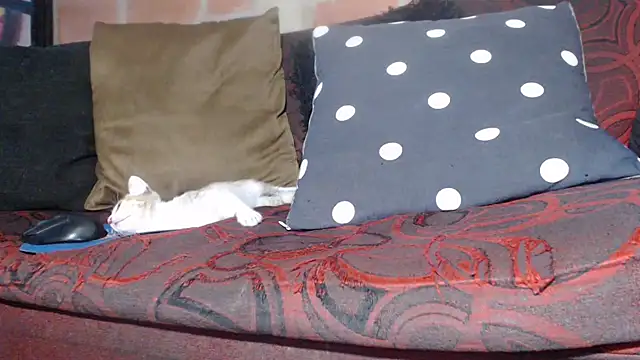 Snapshot of DevoraAmateur chatting on February 22, 2026, 7:04 pm DevoraAmateur online show from February 22, 2026, 7:04 pm