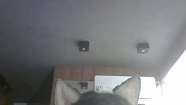 Snapshot of Skinny-Kitten chatting on October 27, 2025, 6:58 am Skinny-Kitten online show from October 27, 2025, 6:58 am