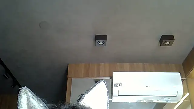 Snapshot of Skinny-Kitten chatting on November 14, 2025, 3:15 pm Skinny-Kitten online show from November 14, 2025, 3:15 pm