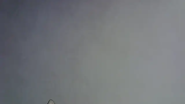 Skinny-Kitten online show from January 16, 2026, 5:28 pm