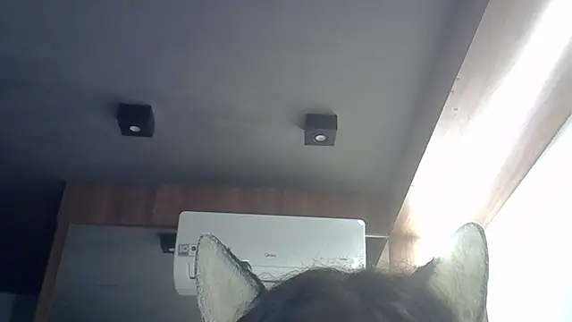 Skinny-Kitten online show from April 8, 2026, 12:34 am