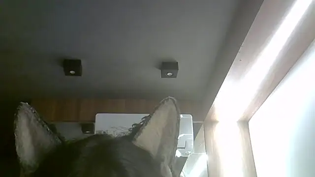 Skinny-Kitten online show from February 15, 2026, 2:12 am