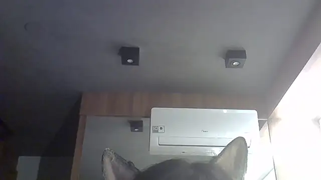 Skinny-Kitten online show from February 10, 2026, 11:59 pm