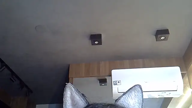 Snapshot of Skinny-Kitten chatting on November 6, 2025, 5:17 pm Skinny-Kitten online show from November 6, 2025, 5:17 pm