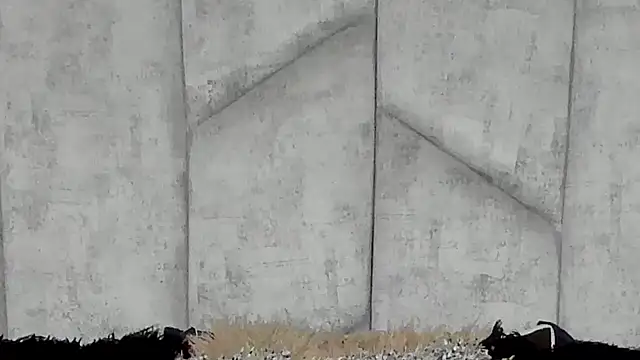 EmmaWillde online show from December 10, 2024, 5:00 pm