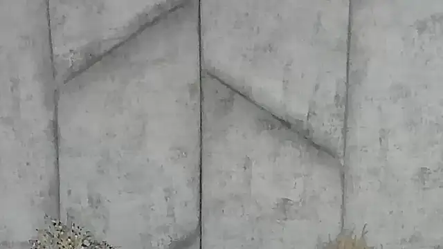 EmmaWillde online show from December 20, 2024, 1:54 pm