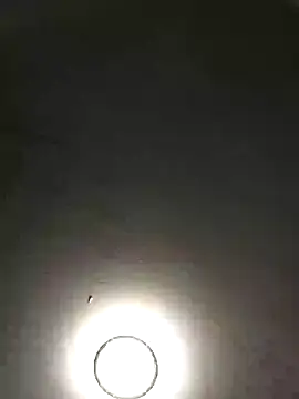 bigdicksih online show from February 13, 2025, 6:59 pm