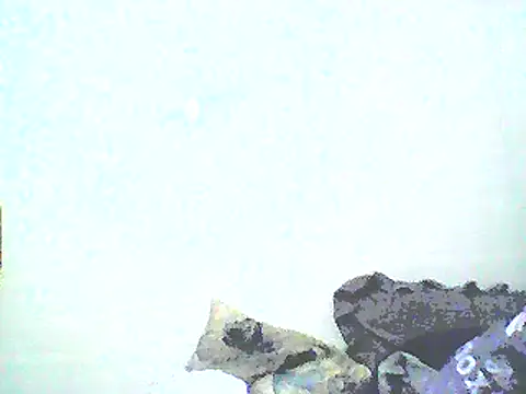 Stormward online show from January 12, 2025, 8:46 am