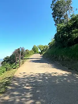 99 GANAr online show from April 19, 2026, 2:29 pm