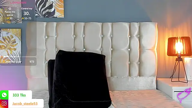 Snapshot of Jacob_Steele53 chatting on February 8, 2025, 12:06 am Jacob Steele53 online show from February 8, 2025, 12:06 am