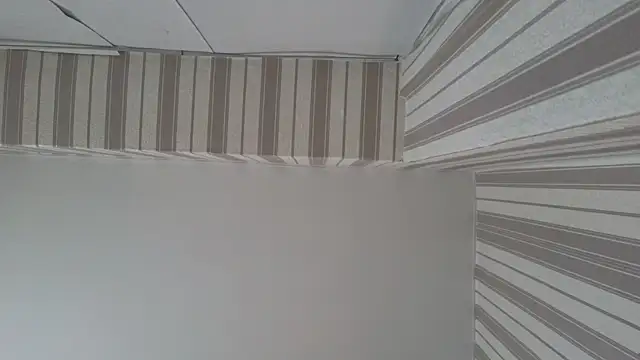 Snapshot of lily__foster chatting on September 23, 2025, 5:58 am lily foster online show from September 23, 2025, 5:58 am