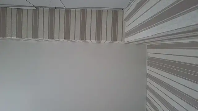 Snapshot of lily__foster chatting on September 22, 2025, 5:46 am lily foster online show from September 22, 2025, 5:46 am