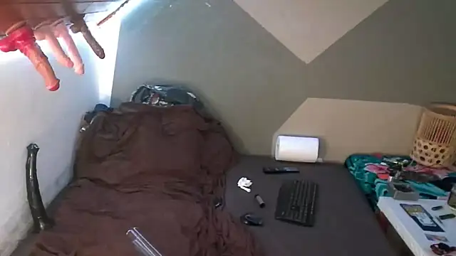 Snapshot of BigTail_CZ chatting on September 26, 2025, 2:46 pm BigTail CZ online show from September 26, 2025, 2:46 pm