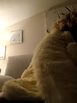 Snapshot of Merilulla chatting on November 14, 2025, 1:20 am Merilulla online show from November 14, 2025, 1:20 am