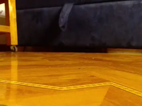 Snapshot of alphaswitchard chatting on March 25, 2026, 4:06 pm alphaswitchard online show from March 25, 2026, 4:06 pm