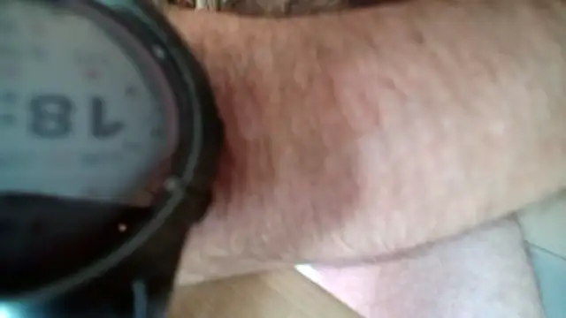 Dan3106x online show from June 22, 2026, 4:37 pm