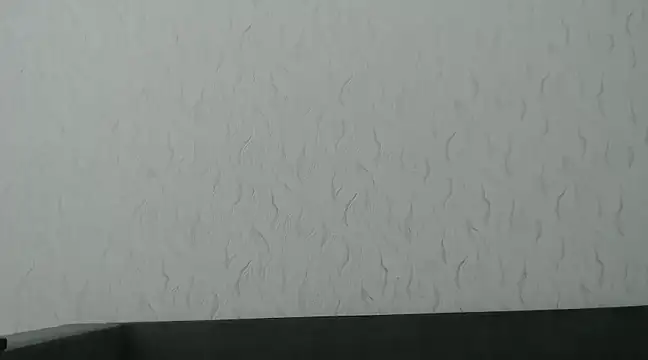 Snapshot of HoneyWiles chatting on March 8, 2025, 12:41 pm HoneyWiles online show from March 8, 2025, 12:41 pm