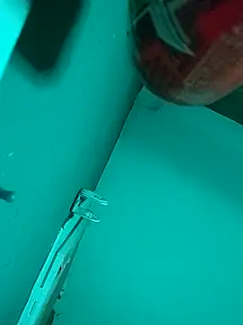 Snapshot of _Scorpion_ chatting on September 8, 2025, 8:30 pm  Scorpion  online show from September 8, 2025, 8:30 pm