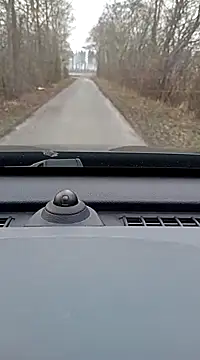 ichgross online show from February 10, 2025, 2:37 pm