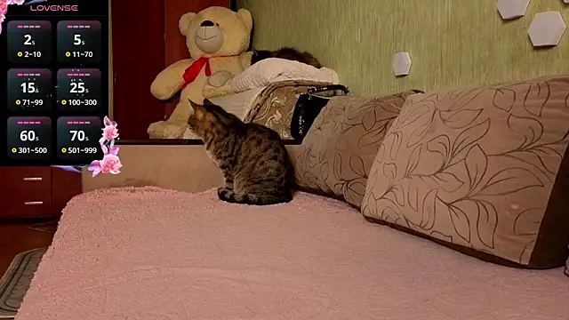 Miss Flexi fit online show from April 9, 2026, 4:57 pm