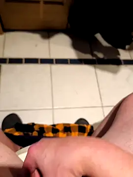 Snapshot of Jackauff69 chatting on March 14, 2026, 12:55 pm Jackauff69 online show from March 14, 2026, 12:55 pm