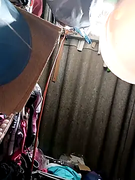 Rayito6969xh online show from February 5, 2026, 3:41 pm