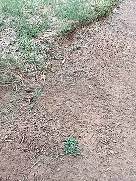 Vuyokaki online show from February 3, 2026, 3:06 pm