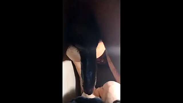 Snapshot of Bigcockmexi13 chatting on November 23, 2025, 12:48 pm Bigcockmexi13 online show from November 23, 2025, 12:48 pm