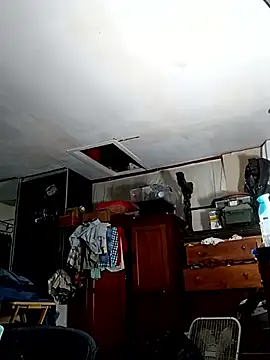 ColdVisitor online show from April 14, 2026, 6:29 am