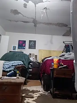 ColdVisitor online show from February 25, 2026, 1:39 am