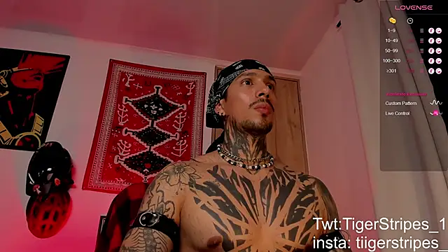 TigerStripes1  online show from March 19, 2026, 6:24 am