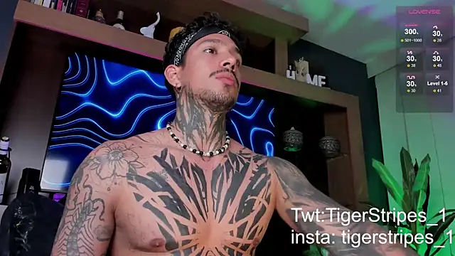 TigerStripes1  online show from March 9, 2025, 12:31 am